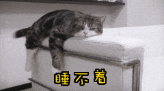不睡午觉的人，你会后悔的！638 / 作者:健康小天使 / 帖子ID:285611