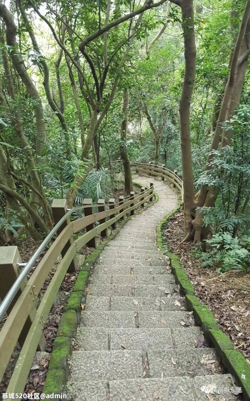 桂林恭城的这个村将建成这样！492 / 作者:125566623 / 帖子ID:285631