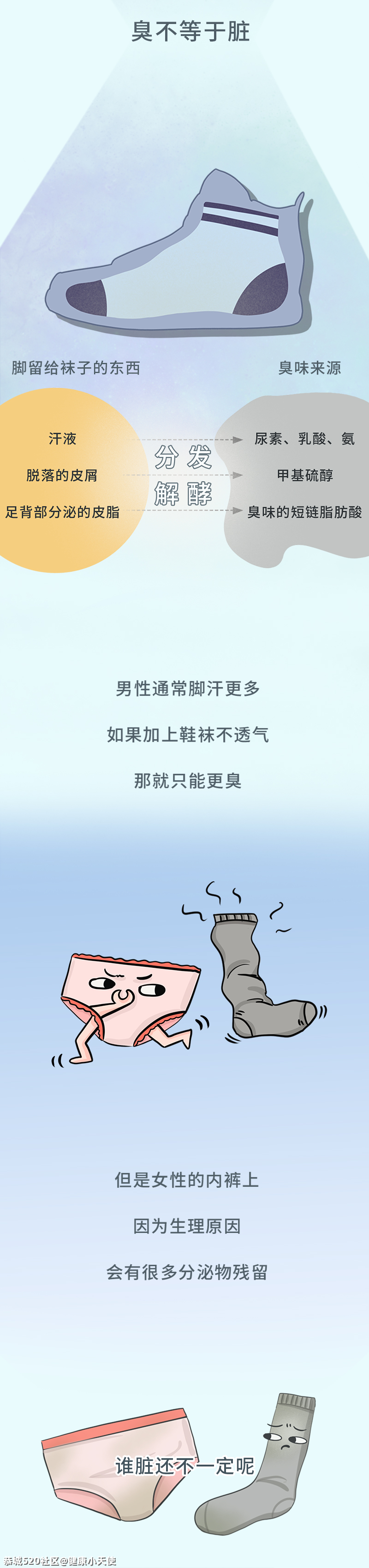 内裤和袜子能不能一起洗？一篇文章给你讲清楚108 / 作者:健康小天使 / 帖子ID:285684