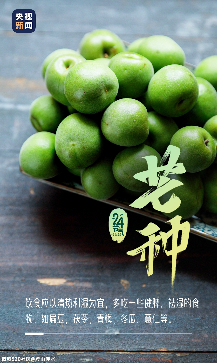 芒种至，梅子青青小麦黄91 / 作者:登山涉水 / 帖子ID:285910