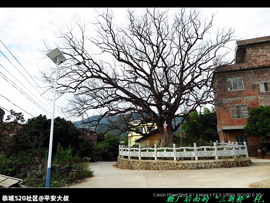 坐电马骑行林家埠至寨山厄盘山公路。811 / 作者:平安大叔 / 帖子ID:286019