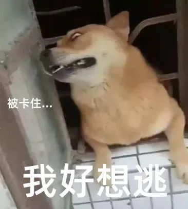 你这一辈子，真的擦干净过屁股吗？223 / 作者:健康小天使 / 帖子ID:286107