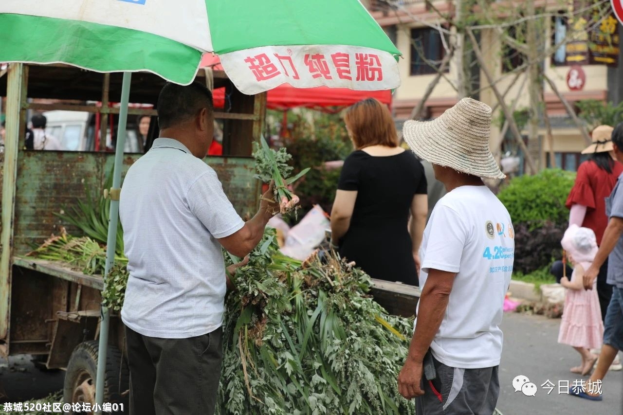 “药”香端午，恭城端午药市火爆184 / 作者:论坛小编01 / 帖子ID:286197