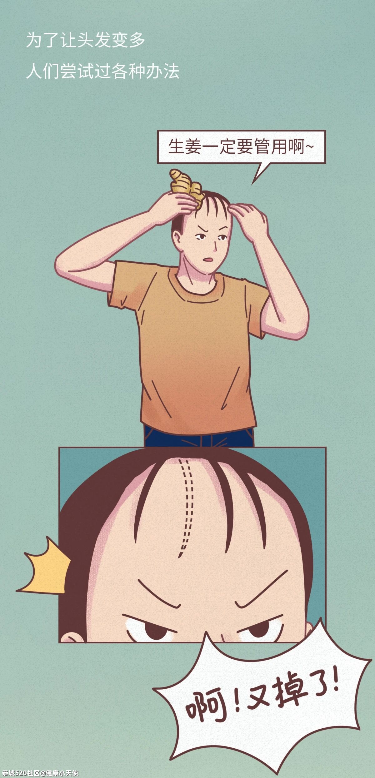 进来看怎么治脱发！230 / 作者:健康小天使 / 帖子ID:286205