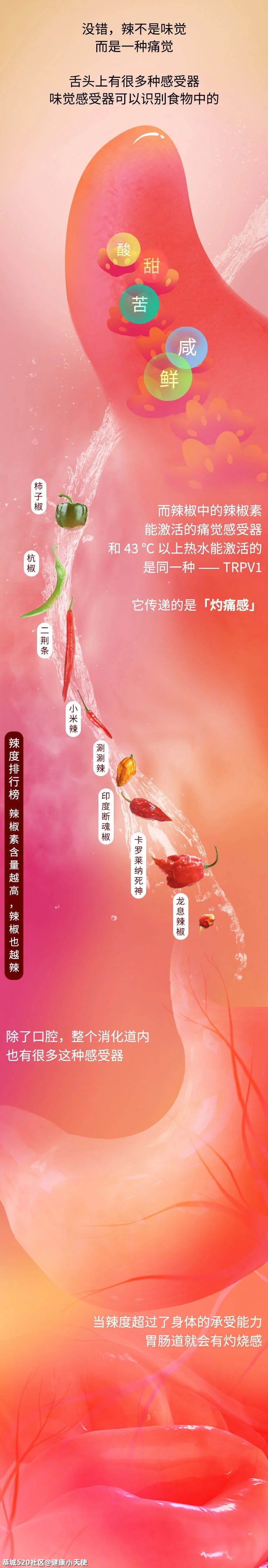 经常吃辣，到底对身体有多大危害？539 / 作者:健康小天使 / 帖子ID:286294
