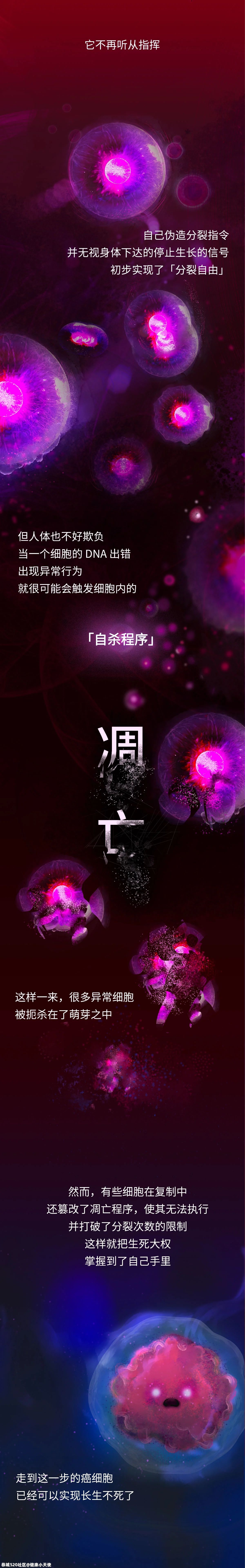 人只要一直活着，就一定会得癌678 / 作者:健康小天使 / 帖子ID:286311