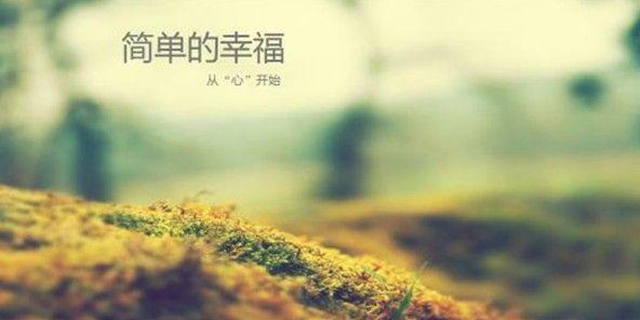 对你来说，让你感到幸福的事情，除了钱和爱，还有什么？336 / 作者:论坛小编01 / 帖子ID:286355