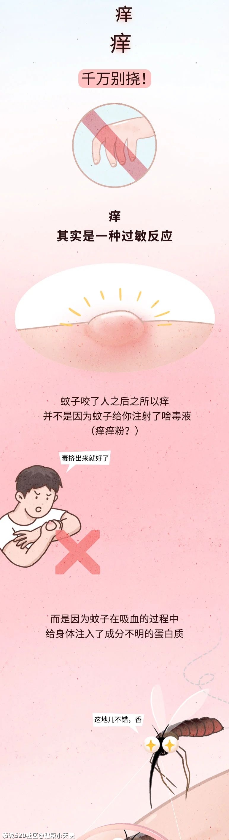 千万别挠蚊子包！不然……134 / 作者:健康小天使 / 帖子ID:286376