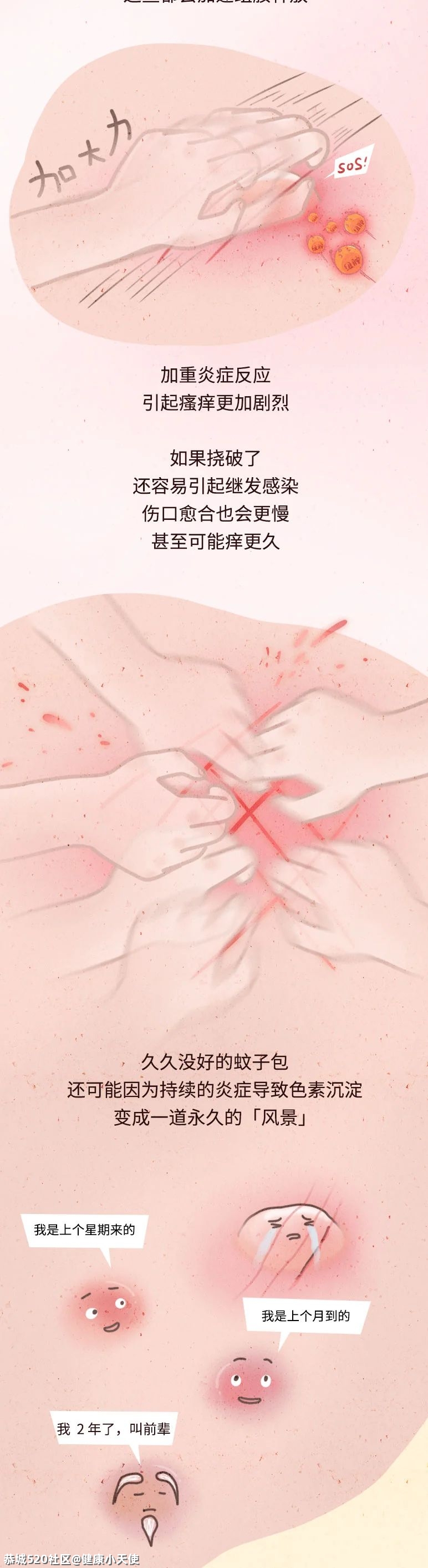 千万别挠蚊子包！不然……671 / 作者:健康小天使 / 帖子ID:286376