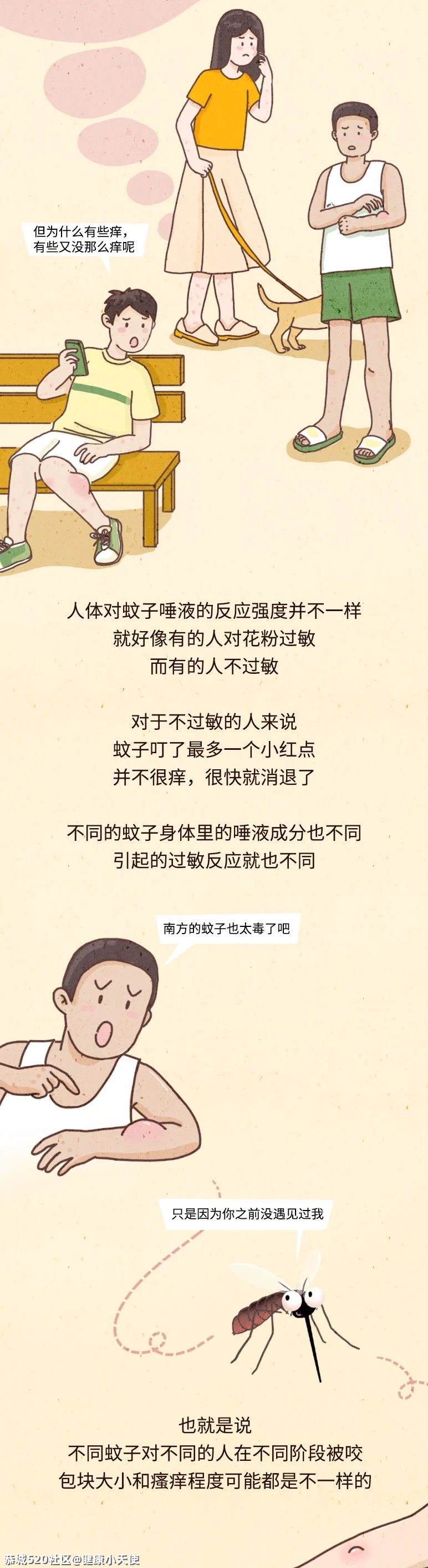 千万别挠蚊子包！不然……908 / 作者:健康小天使 / 帖子ID:286376