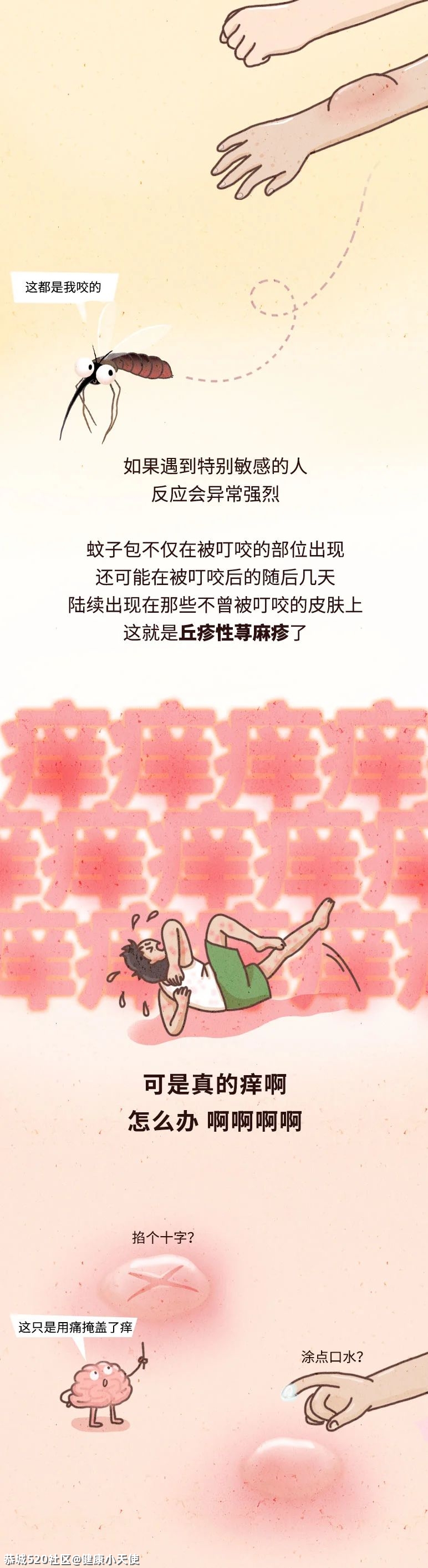 千万别挠蚊子包！不然……526 / 作者:健康小天使 / 帖子ID:286376