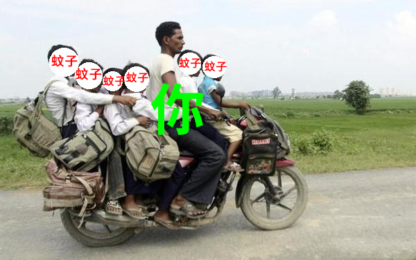 到底住几楼，才能没蚊子？121 / 作者:健康小天使 / 帖子ID:286457