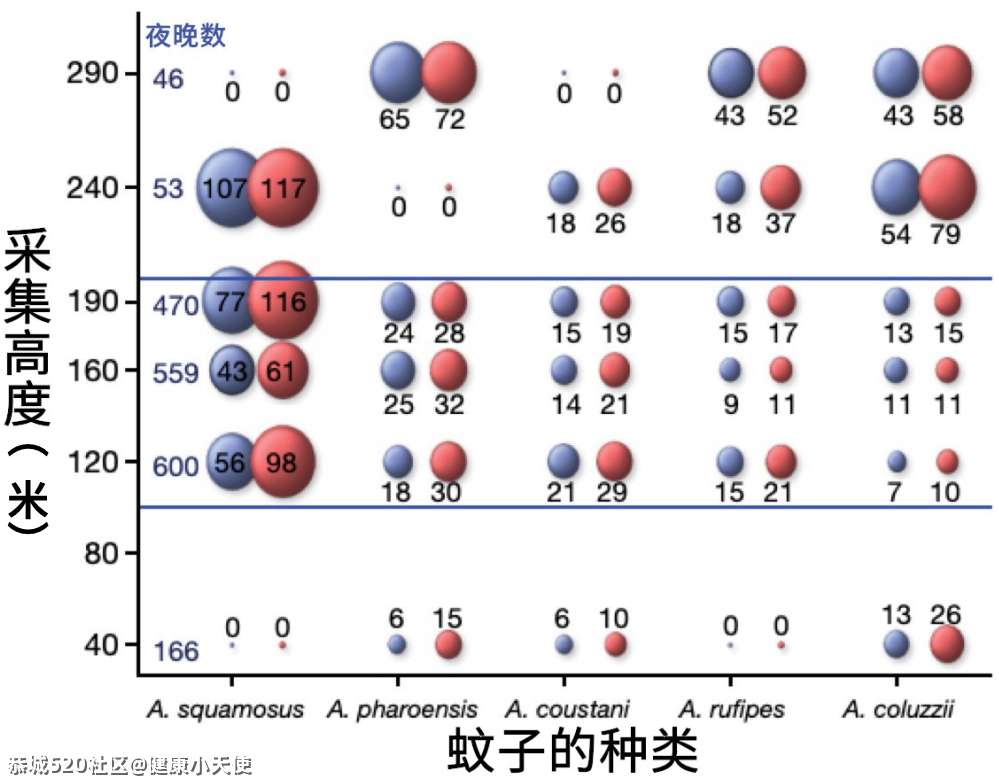 到底住几楼，才能没蚊子？93 / 作者:健康小天使 / 帖子ID:286457