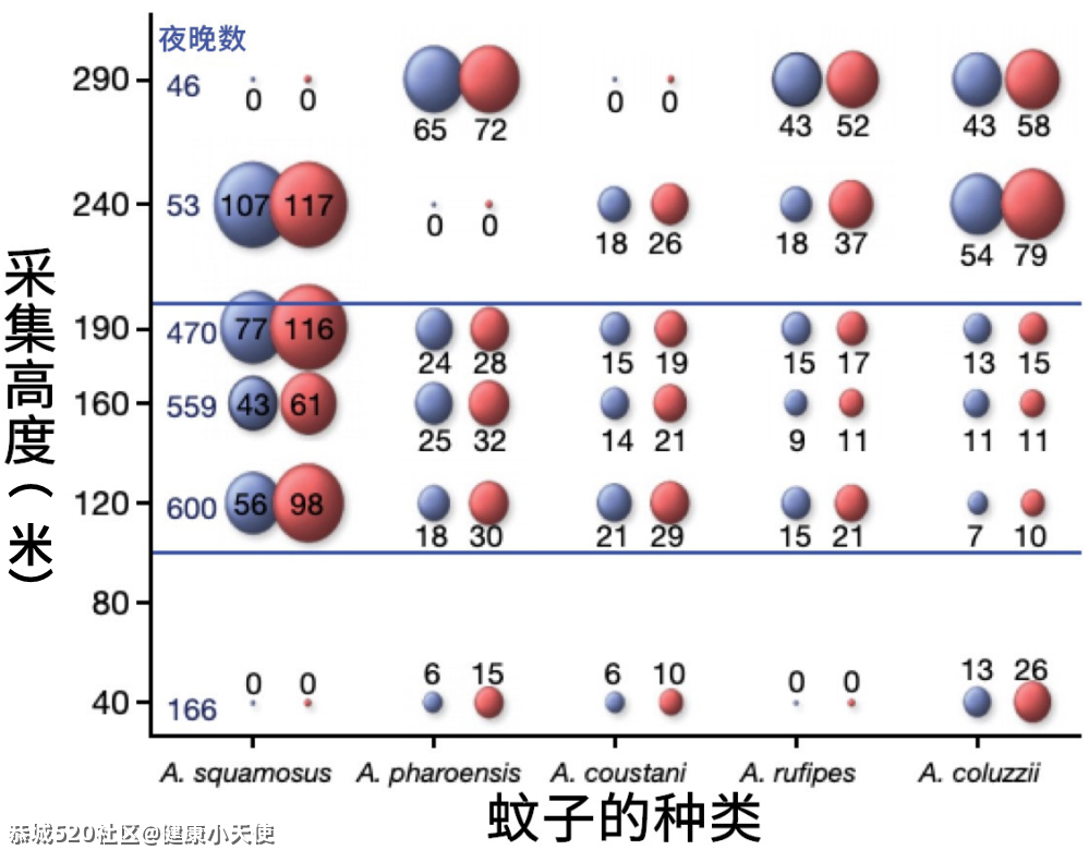 到底住几楼，才能没蚊子？578 / 作者:健康小天使 / 帖子ID:286457