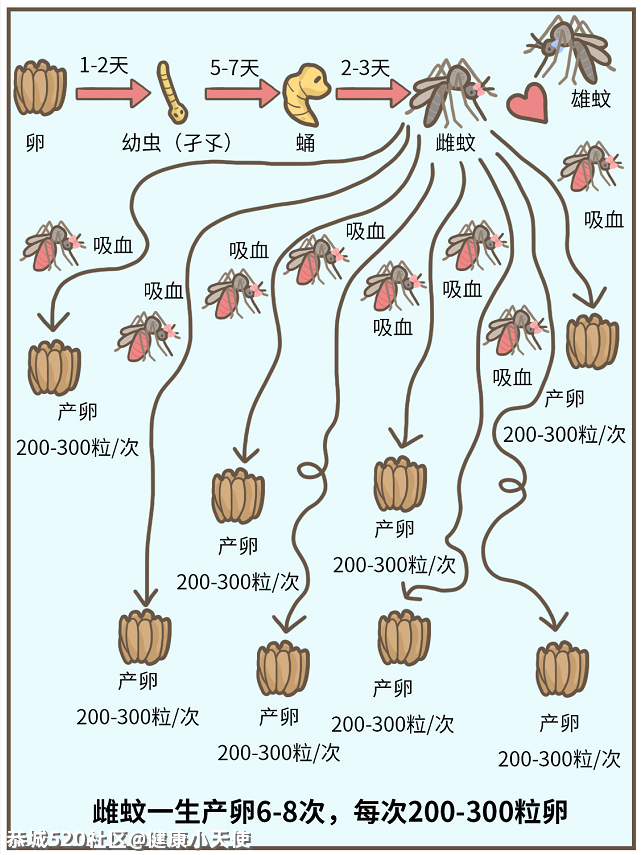 到底住几楼，才能没蚊子？972 / 作者:健康小天使 / 帖子ID:286457