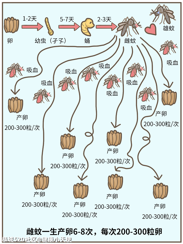 到底住几楼，才能没蚊子？807 / 作者:健康小天使 / 帖子ID:286457