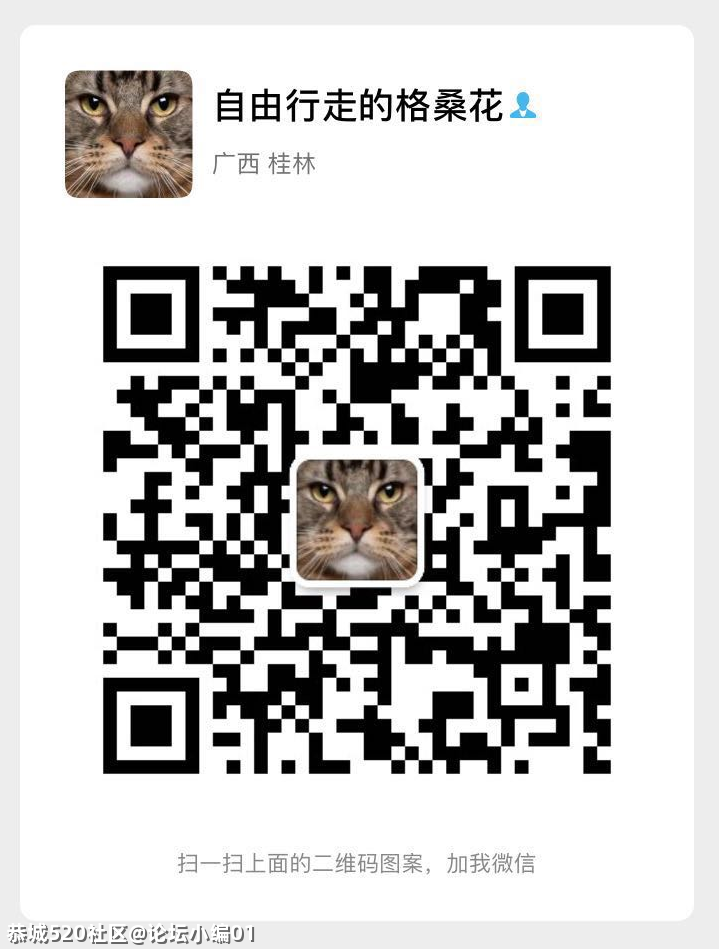 划重点！~要转团组织关系回恭城的大学生注意啦！976 / 作者:论坛小编01 / 帖子ID:286467