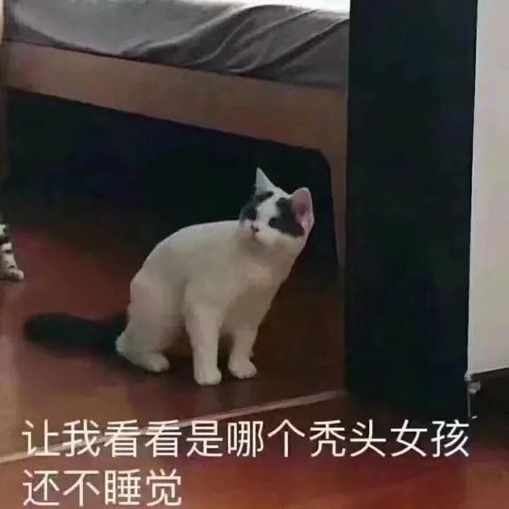 有点“秃”然！你吃下的每一口脂肪，都在伤害毛囊567 / 作者:健康小天使 / 帖子ID:286697