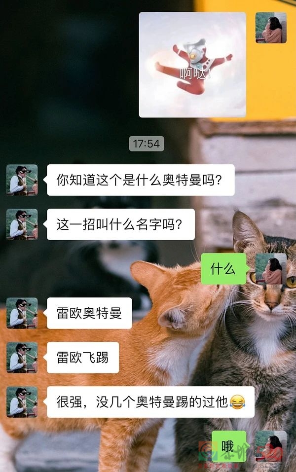 不要给男生发任何奥特曼表情包511 / 作者:儿时的回忆 / 帖子ID:286938