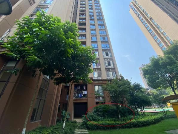 幼童姐弟“坠亡”最新：出轨离异父亲涉嫌与女友共谋杀人758 / 作者:分叉路口 / 帖子ID:287138
