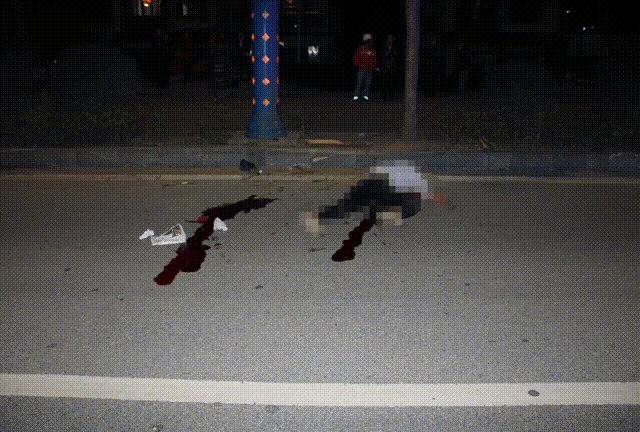 这些骑电动自行车不带头盔的人，被带走了.....682 / 作者:论坛小编01 / 帖子ID:287164