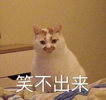 “喷射战士”华莱士不能老这么野了486 / 作者:儿时的回忆 / 帖子ID:287299