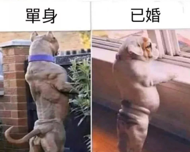 你是单身还是已婚？那你觉得单身好还是结婚好？为什么？188 / 作者:论坛小编01 / 帖子ID:287490