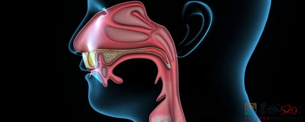 有一种癌偏爱「南方人」，这个省的发病数占了全国的60%297 / 作者:健康小天使 / 帖子ID:287549