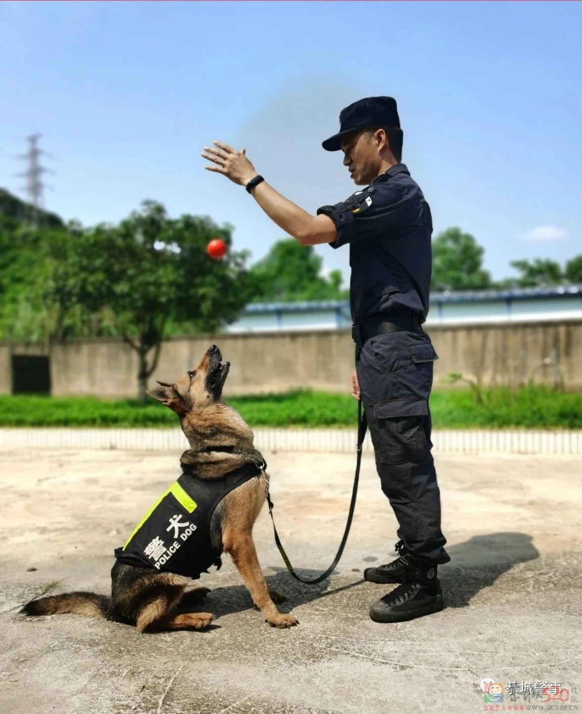 曾经的军人，如今的警察 | 八一建军节，听他们说……940 / 作者:论坛小编01 / 帖子ID:287614