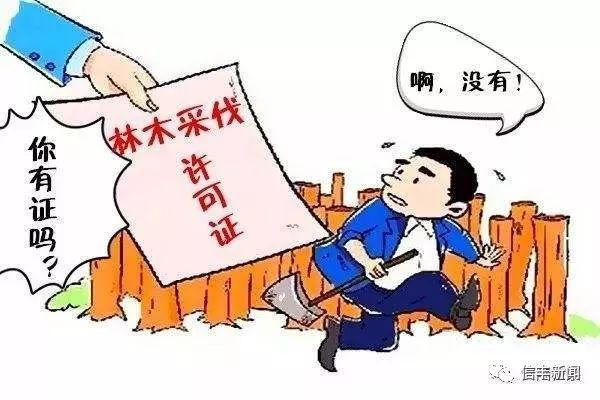 筑牢“绿色屏障”——恭城森林公安将滥伐林木真人版“光头强”抓获！434 / 作者:论坛小编01 / 帖子ID:287942