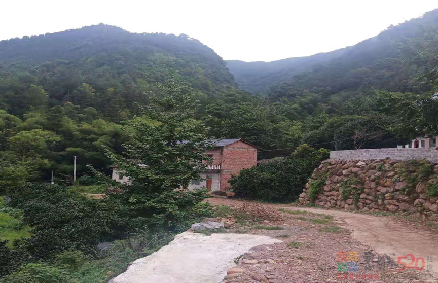 乡村游记（之六）338 / 作者:论坛小编01 / 帖子ID:288164
