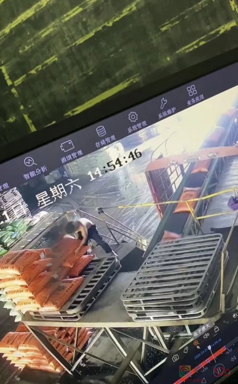 视频火了！广东一男子30秒卸2000斤饲料：“每搬一吨赚2元”495 / 作者:分叉路口 / 帖子ID:288240