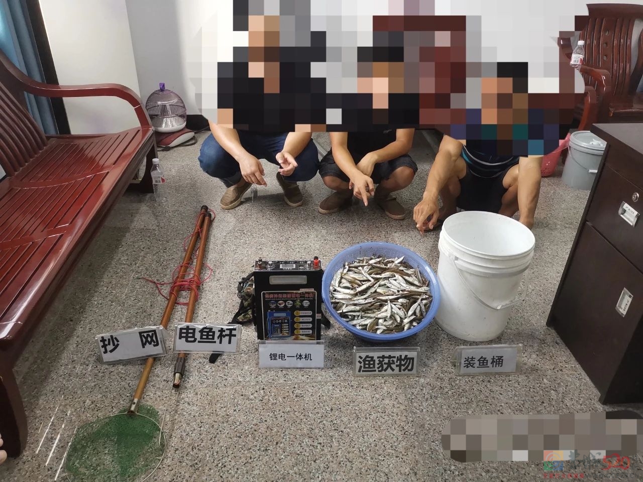 西岭镇依法查处一起非法电鱼案件573 / 作者:论坛小编01 / 帖子ID:288335