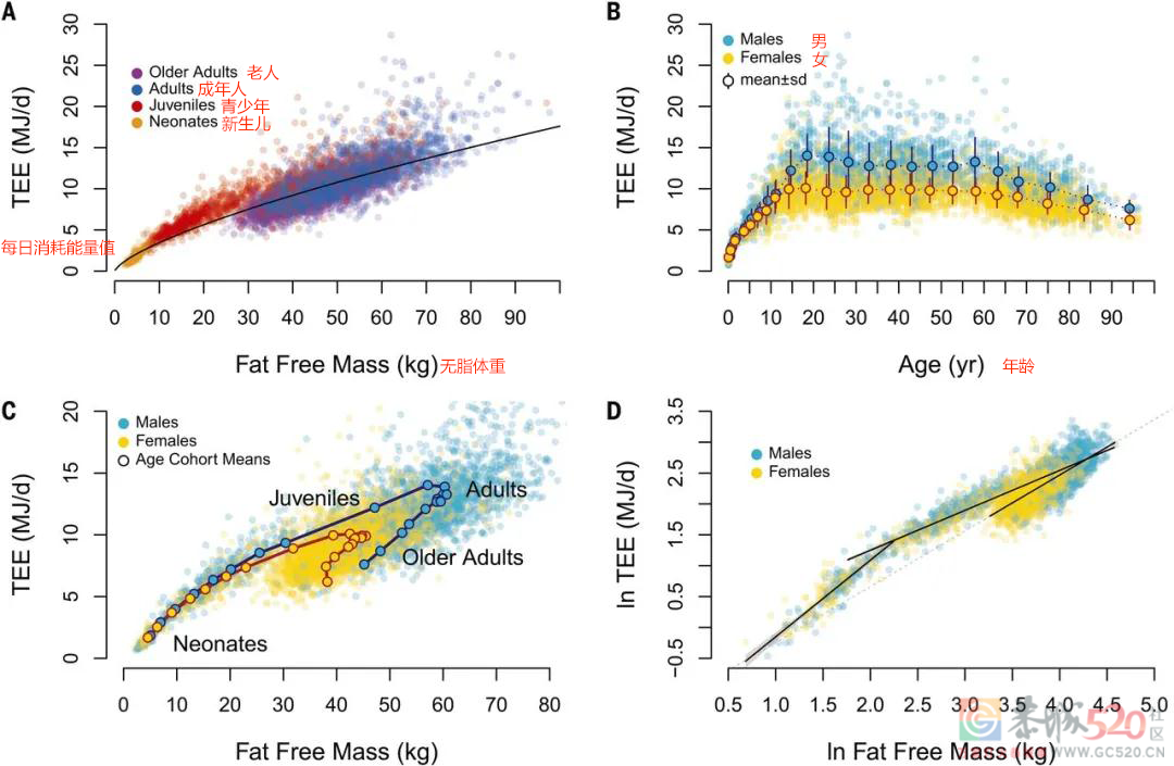 中年发福和「代谢慢」无关！真正的变胖原因是这个……103 / 作者:健康小天使 / 帖子ID:288398
