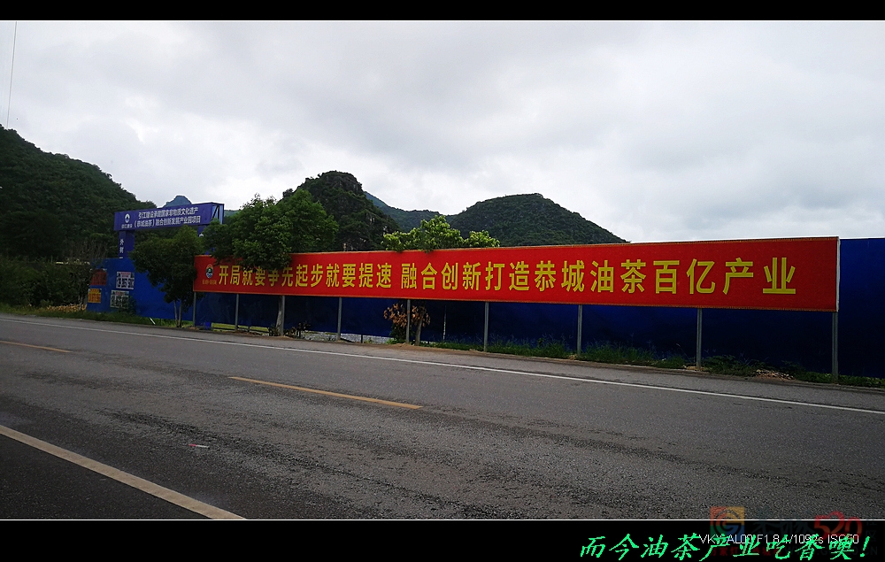 恭城又一油茶产业开发区动工。714 / 作者:平安大叔 / 帖子ID:288421