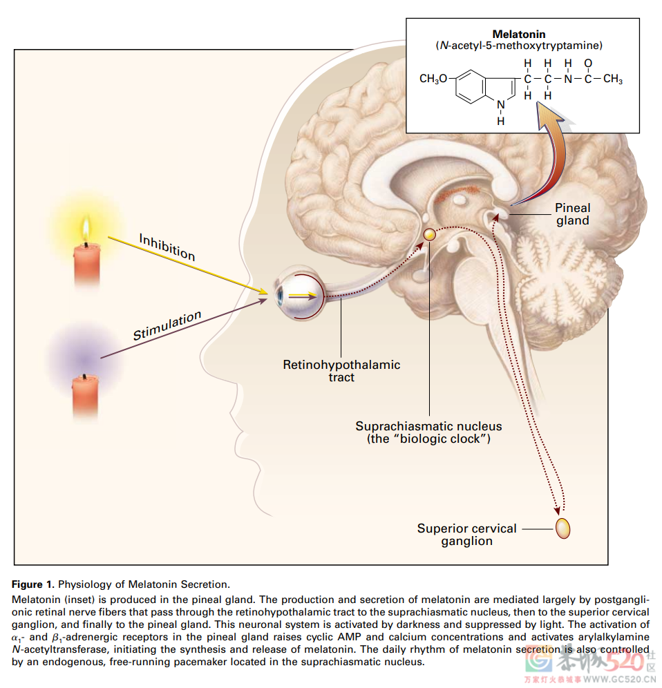 长期吃褪黑素助眠，有什么危害？760 / 作者:健康小天使 / 帖子ID:288513