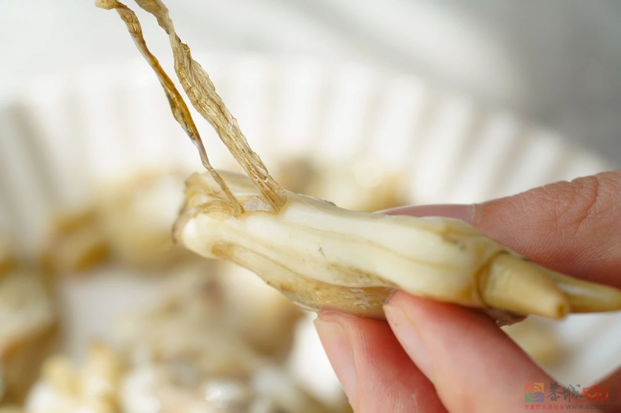蛏子这么做，居然可以这么鲜？334 / 作者:爱生活爱美食 / 帖子ID:288764