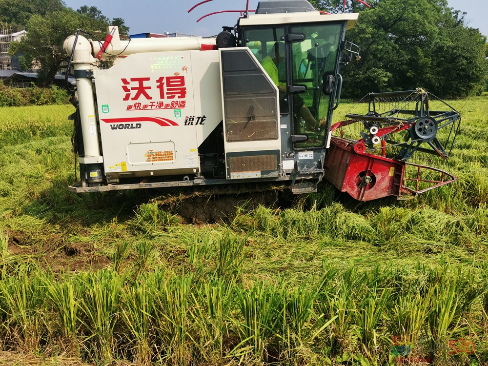 现在打谷子好高科技了啵33 / 作者:掌舵的鱼1987 / 帖子ID:288837