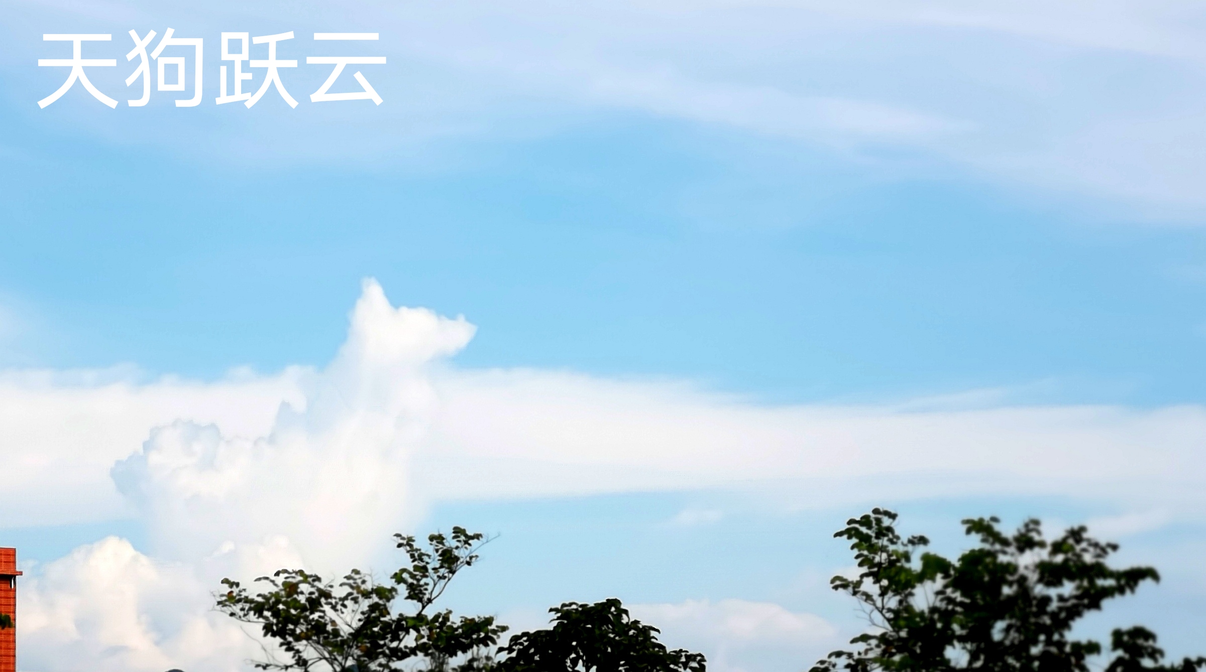 云之影311 / 作者:茶江飞雪 / 帖子ID:288857