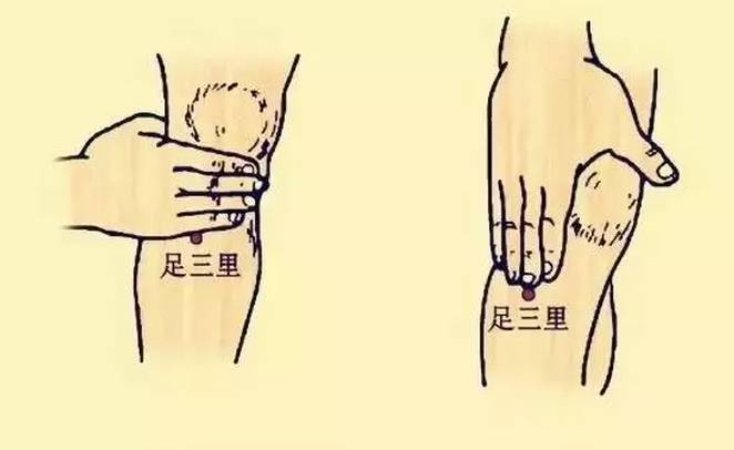 为什么秋天「脾胃」容易出问题？5个方面提醒你“虚”了416 / 作者:健康小天使 / 帖子ID:288934
