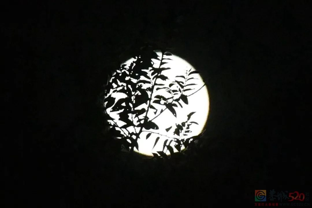 中秋的月亮没看够？高清美图来了821 / 作者:登山涉水 / 帖子ID:289084