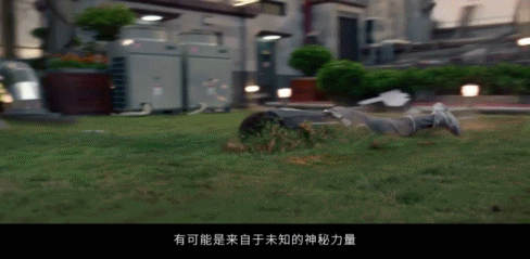 全员顶流国片，一年就等这一部908 / 作者:该做的事情 / 帖子ID:289245