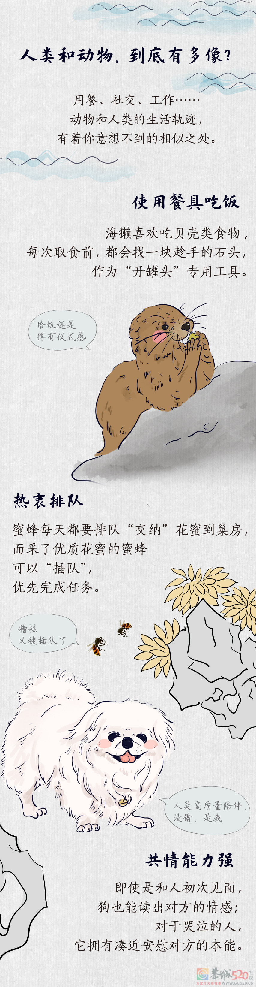 世界动物日丨在养生这件事上，动物比我们强在哪？452 / 作者:健康小天使 / 帖子ID:289430