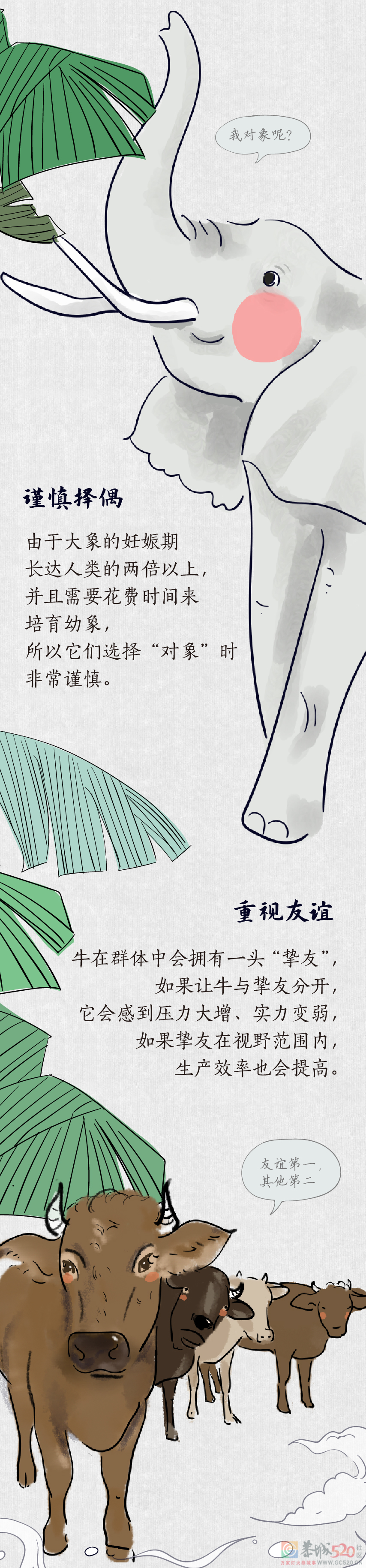 世界动物日丨在养生这件事上，动物比我们强在哪？243 / 作者:健康小天使 / 帖子ID:289430