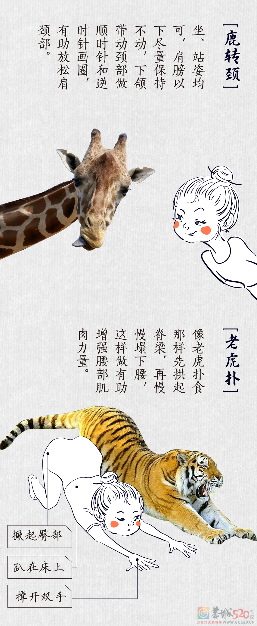 世界动物日丨在养生这件事上，动物比我们强在哪？212 / 作者:健康小天使 / 帖子ID:289430