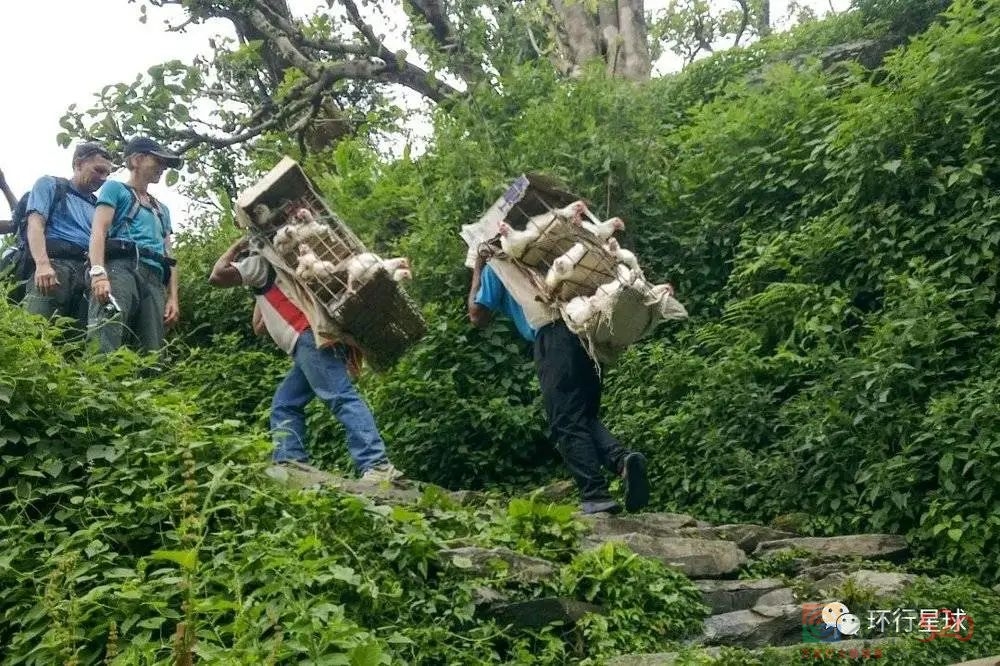 为什么有这么多人痴迷于去尼泊尔爬山？98 / 作者:儿时的回忆 / 帖子ID:289533
