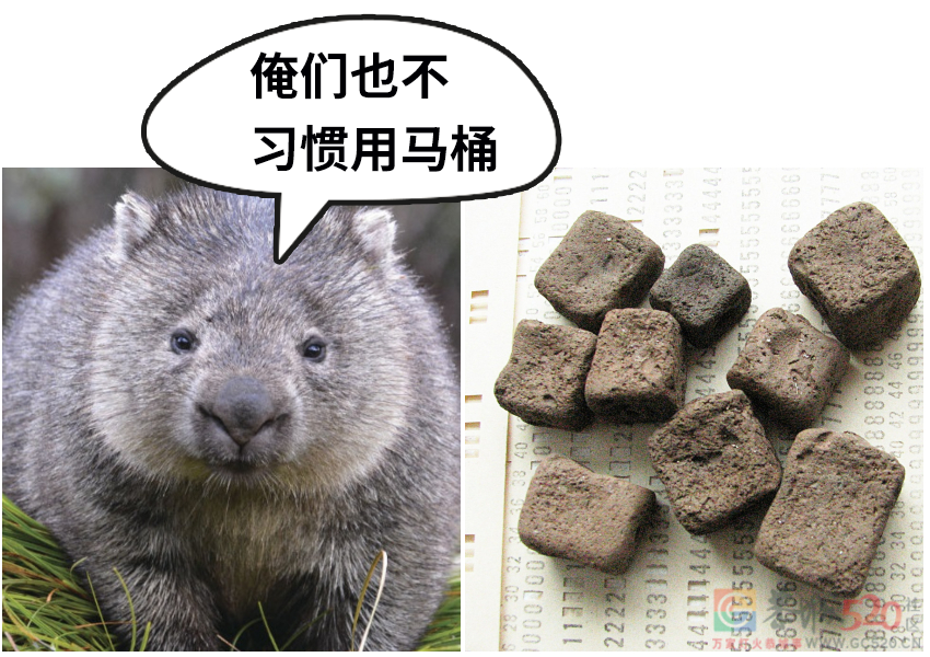 让大便再也不粘马桶的办法，我们找到了360 / 作者:健康小天使 / 帖子ID:289585