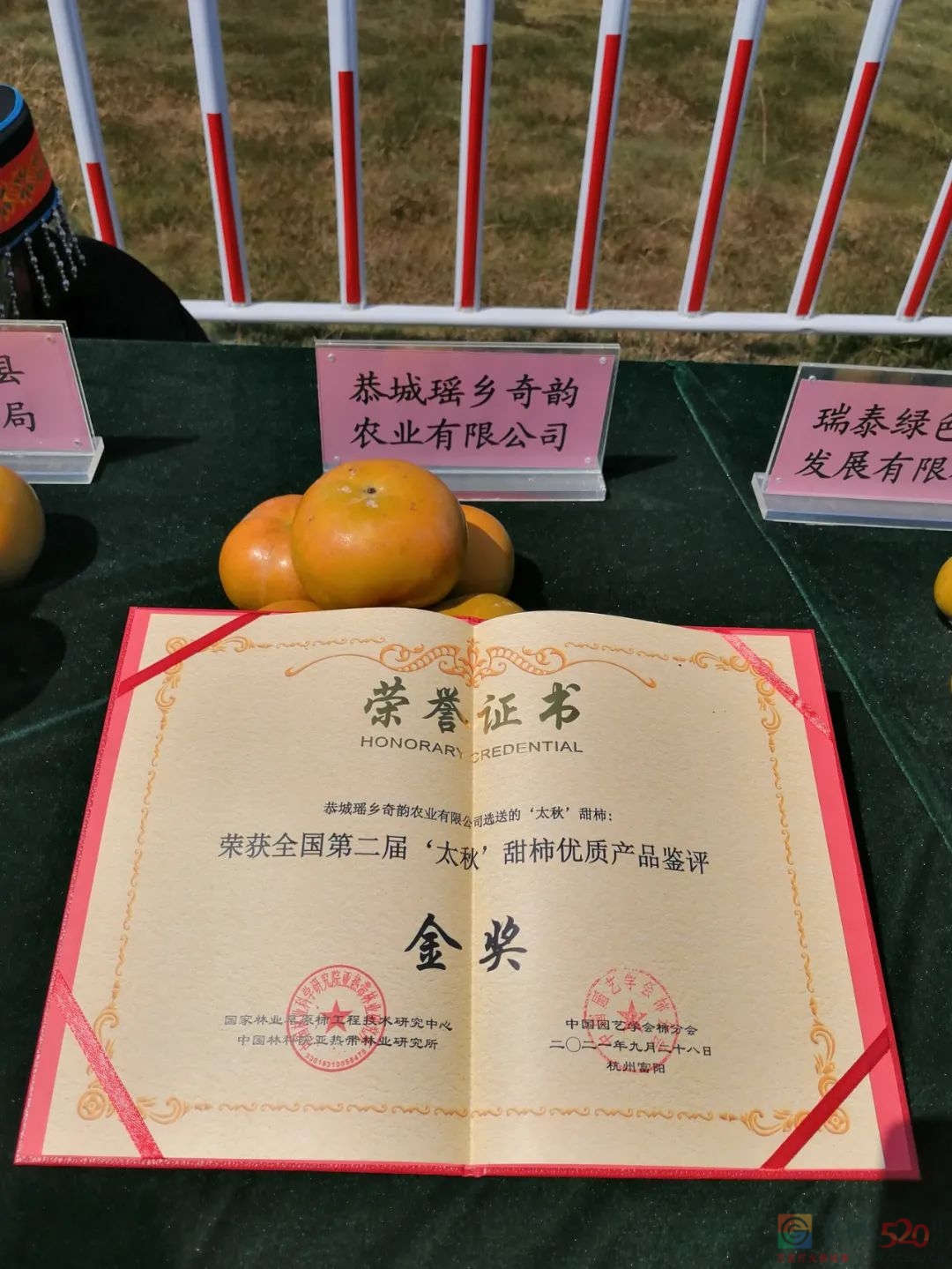 中国重要农业文化遗产里的甜蜜月柿807 / 作者:论坛小编01 / 帖子ID:289623
