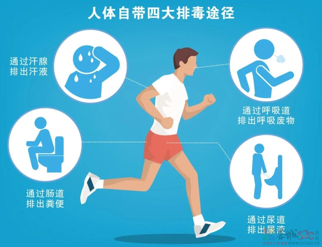 人体什么情况下需要“排毒”？医生的答案只有一个标准……455 / 作者:健康小天使 / 帖子ID:289751