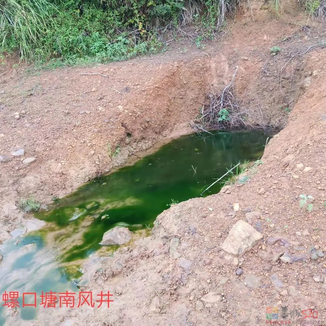 杨公先生钻井救灾的故事381 / 作者:论坛小编01 / 帖子ID:289833